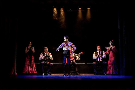 TEATRO FLAMENCO GRANADA - photo 0