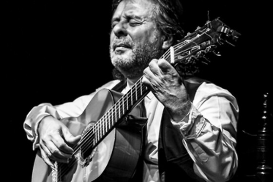 TEATRO FLAMENCO GRANADA - photo 12