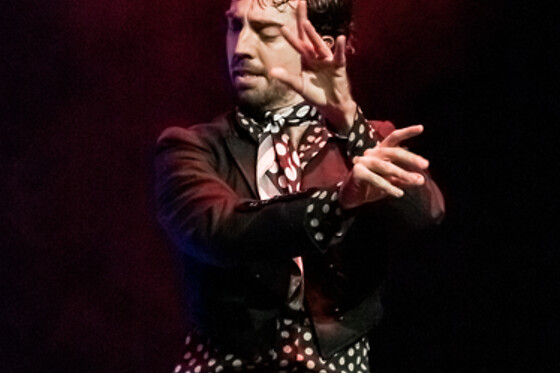 TEATRO FLAMENCO GRANADA - photo 13