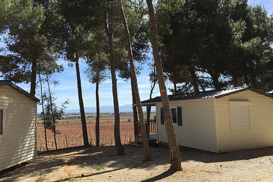 LE BOIS DE PINS - photo 1