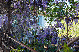 La Vieille Maison - Halte Gourmande