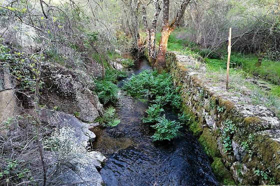 MONTE DA FONTE SANTA DE SÃO LUÍS - photo 1