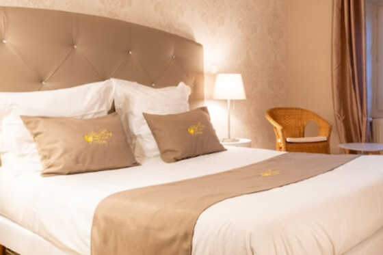 Hôtel Au Coq Dort Spa - photo 0