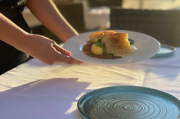 ALEGRÍA FLAMENCO Y GASTRONOMÍA