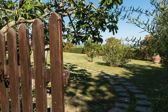 Agriturismo Podere Caggiolo - photo 4