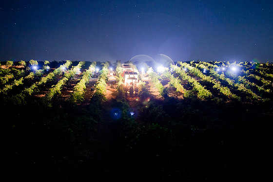 PAGO DE LAS ENCOMIENDAS VIÑEDOS Y BODEGAS - photo 6