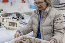 Restaurante O Nobre