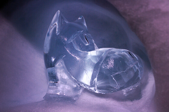 Village Igloo - Les Arcs - photo 7
