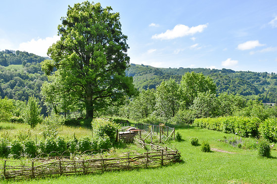 Domaine de la Jordanne - photo 5