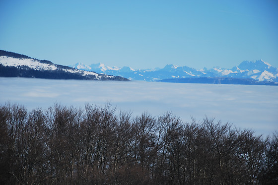 Chez louve bleue - photo 6
