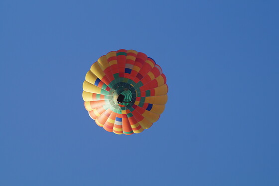 Ptiote vadrouille - photo 6