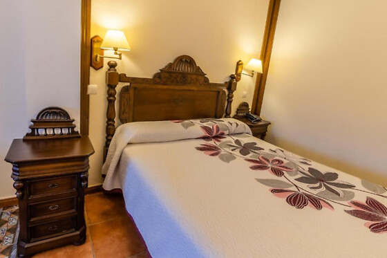 HOTEL SANTO DOMINGO DE SILOS - photo 15