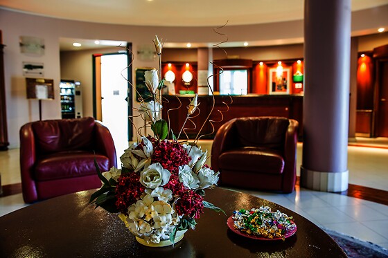 Hotel Glis - photo 3