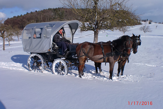 Pferdefahrt GmbH - photo 3