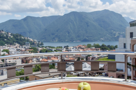 Villa Sassa Lugano**** - photo 7