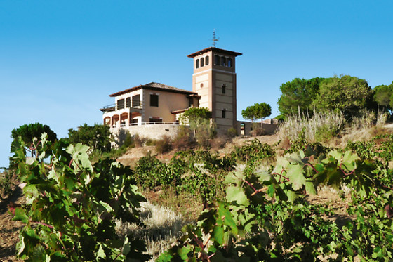 POSADA LOS CONDESTABLES HOTEL & SPA - photo 15