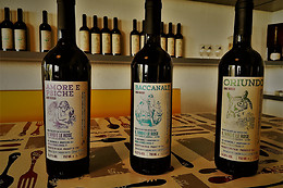 Oasi di Mastarone