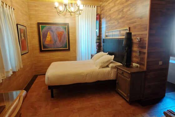 GASTRO-HOTEL PALACIO DE LA SERNA - photo 21