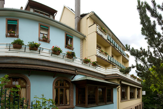 Hôtel du Parc*** Welness & Spa - Restaurant L'Alexain - photo 0