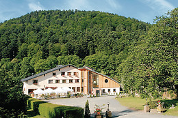Hotel The Originals La Fischhutte