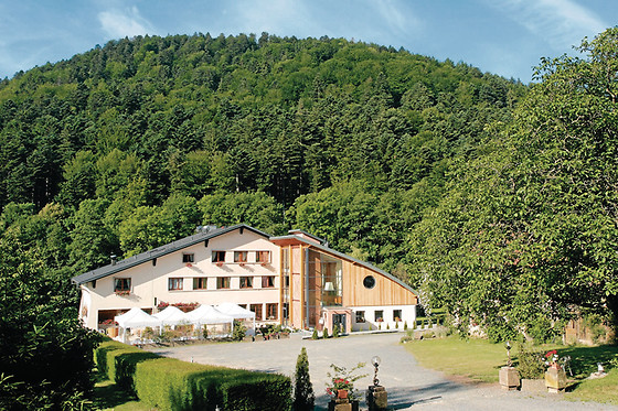 Hotel The Originals La Fischhutte - photo 1