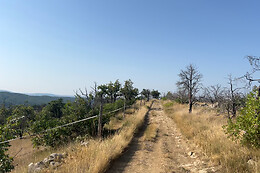 Ardèche Buggy Quad