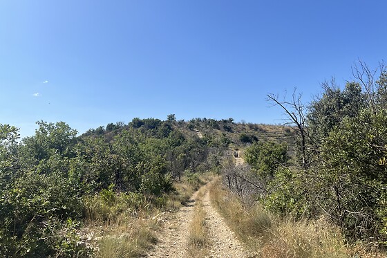 Ardèche Buggy Quad - photo 7