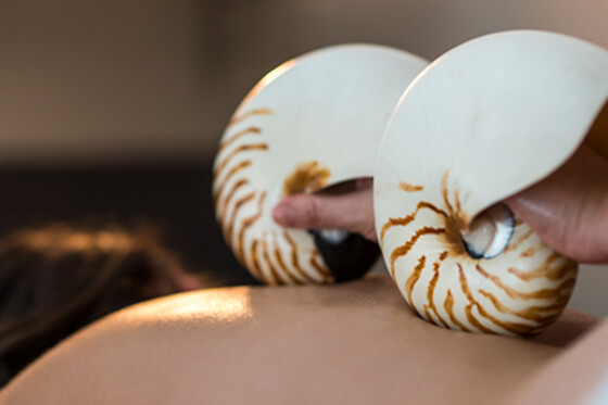 ESTETICA NATURAL RAQUEL TORRES - photo 7