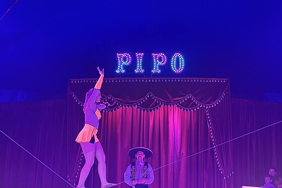 Circus Pipo by Heppenheimer - photo 3