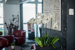 Hôtel Kyriad Marne la Vallée Torcy