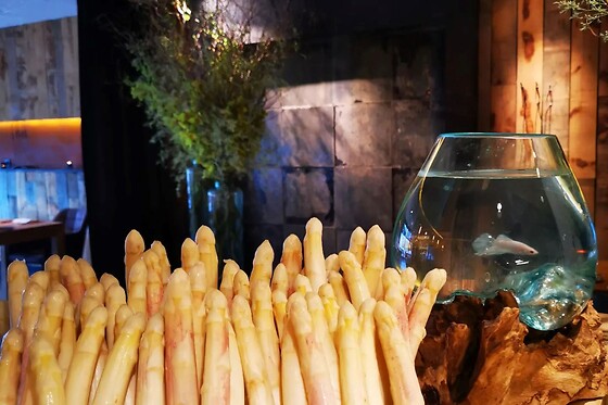 Oh Restaurant - photo 2