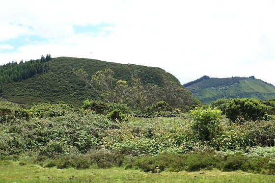 Pro Island Tour - photo 6