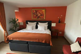 Hôtel Les Vieux Toits