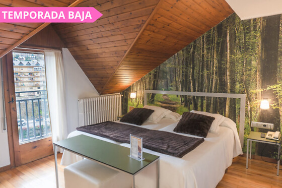 HOTEL PESSETS - photo 18