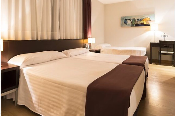 HOTEL PLAZAOLA - photo 7