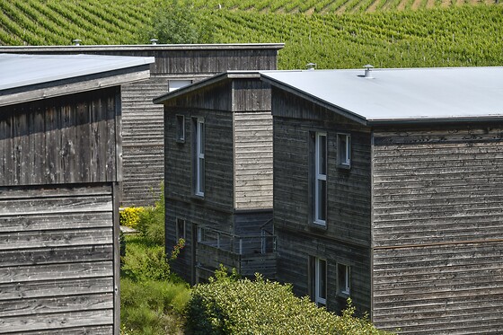 le domaine de Saint Orens - photo 5