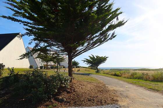 Résidence Sud Océan - photo 4