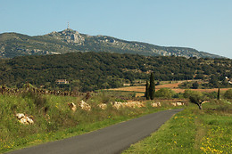 Domaine Virgile Joly / Chambre d'hôtes Mimosa