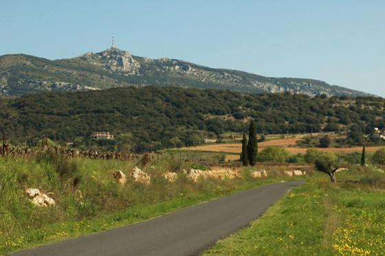 Domaine Virgile Joly / Chambre d'hôtes Mimosa - photo 5