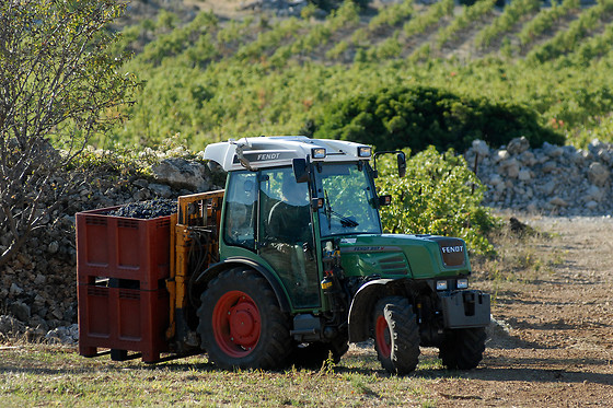 Domaine Virgile Joly / Chambre d'hôtes Mimosa - photo 6