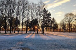 Golf des sarrays