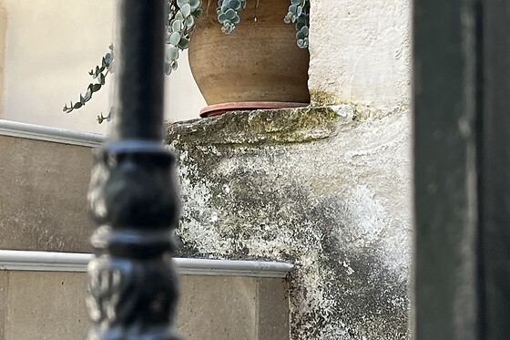 Domaine Forvent - photo 5
