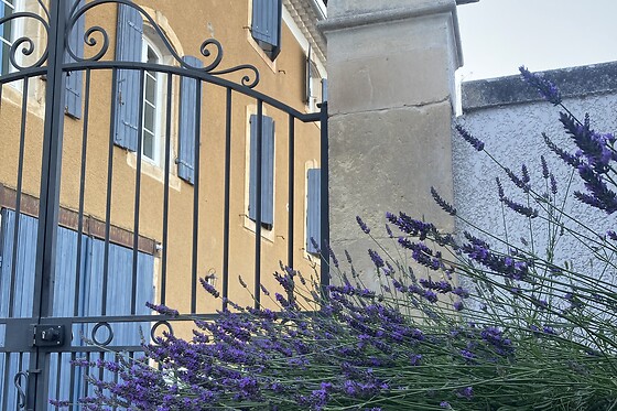 Domaine Forvent - photo 8