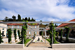 BODEGA PAZO BAIÓN