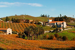 BODEGA PAZO BAIÓN