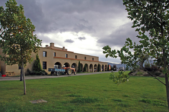 BODEGAS REGINA VIARUM - photo 1