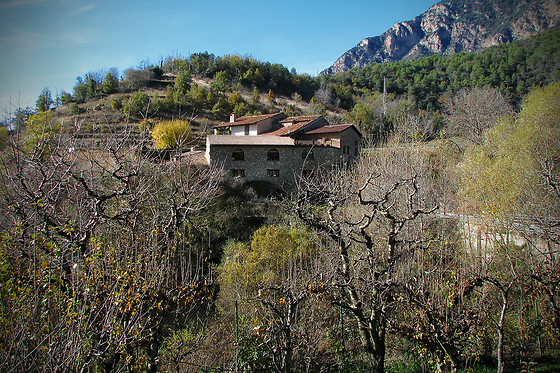 CAL ROIG - photo 10