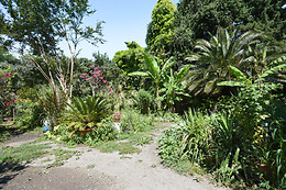 Villa Leona