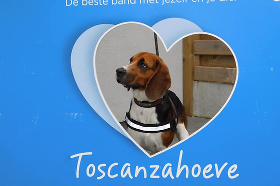 Toscanzahoeve - photo 6