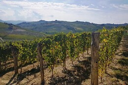 Agriturismo Vecchio Torchio
